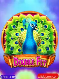 Explorando o Mundo Emocionante de DoubleFly